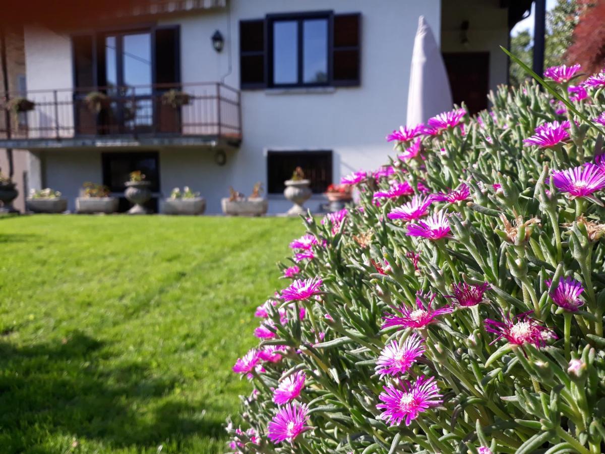 Villa Giardino Dervio Esterno foto